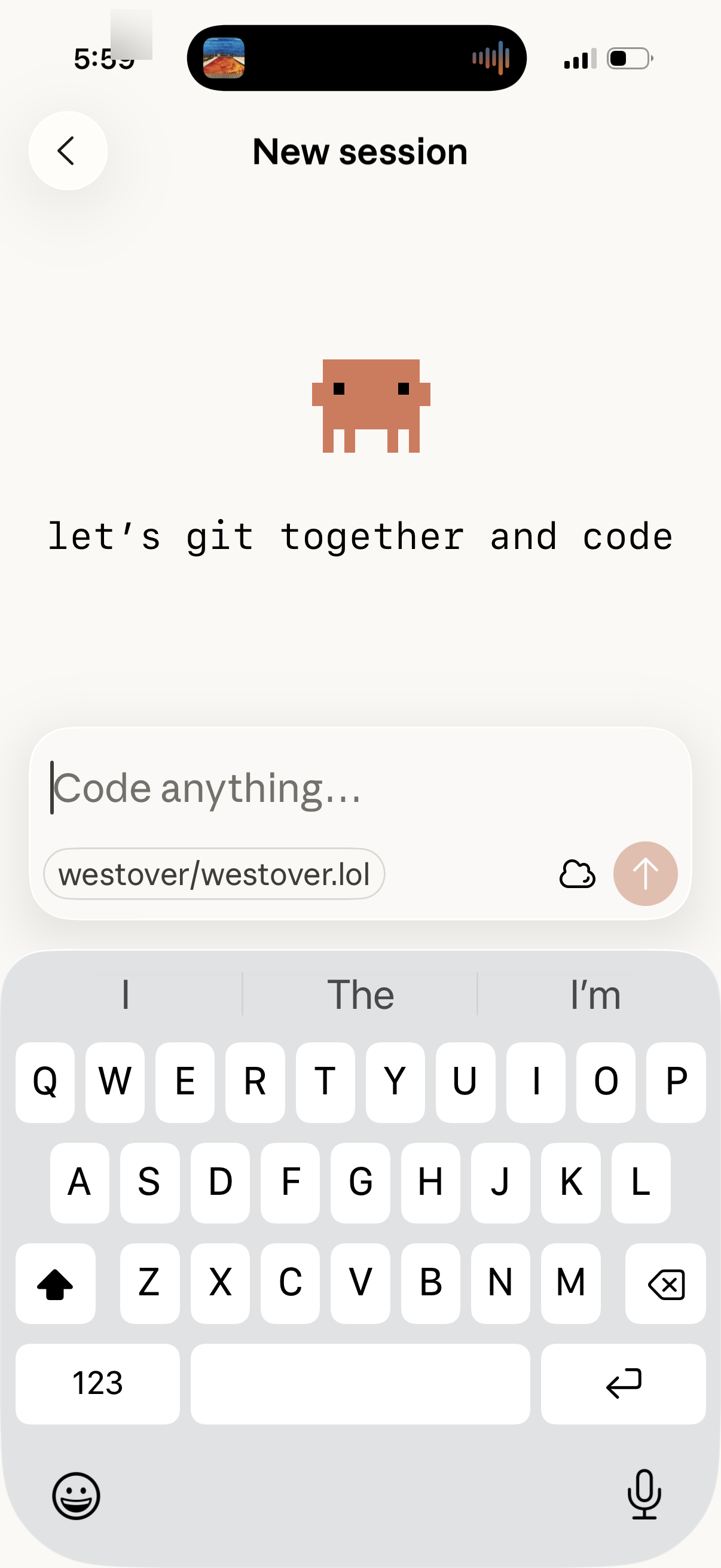 Coding session from the beach